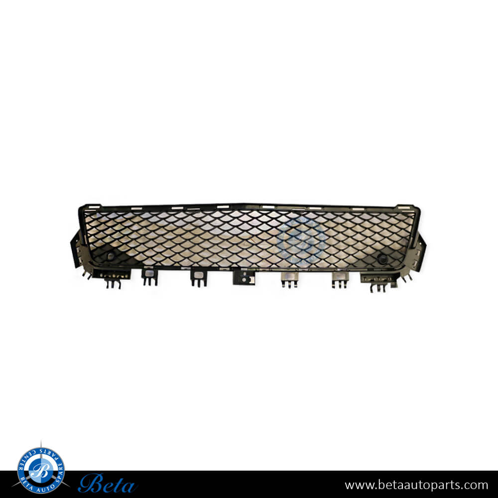 Front Bumper Lower Grille AMG C63 for Mercedes C-Class W204 2011-2014 models, Part Number 2048851753 Front Bumper Lower Grille AMG C63 for Mercedes C-Class W204 2011-2014 models, Part Number 2048851753